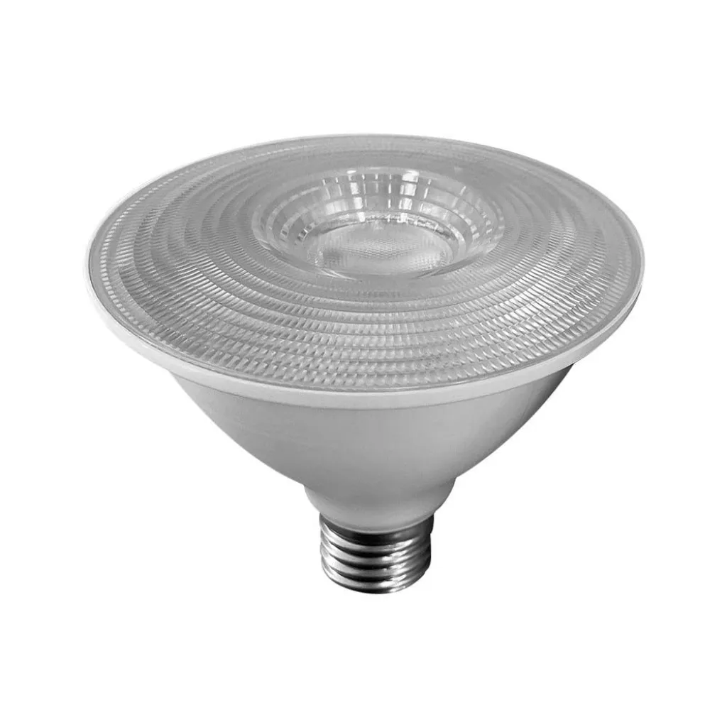 Lampadina LED Chip Samsung E27 11W PAR30 6500K, vista angolata