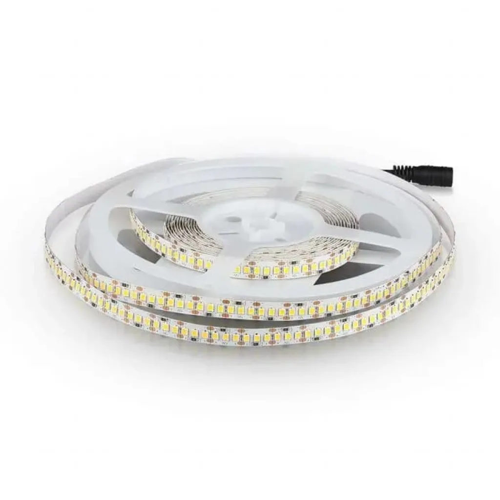 Strip LED SMD2835 17W/m 5m 204 LED/m 12V 6500K 10mm, vista angolata generale