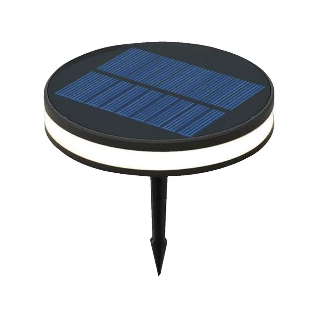 Piantana Solare LED da Giardino 2W con Picchetto Colore Nero e Nero 3000K, vista angolata generale