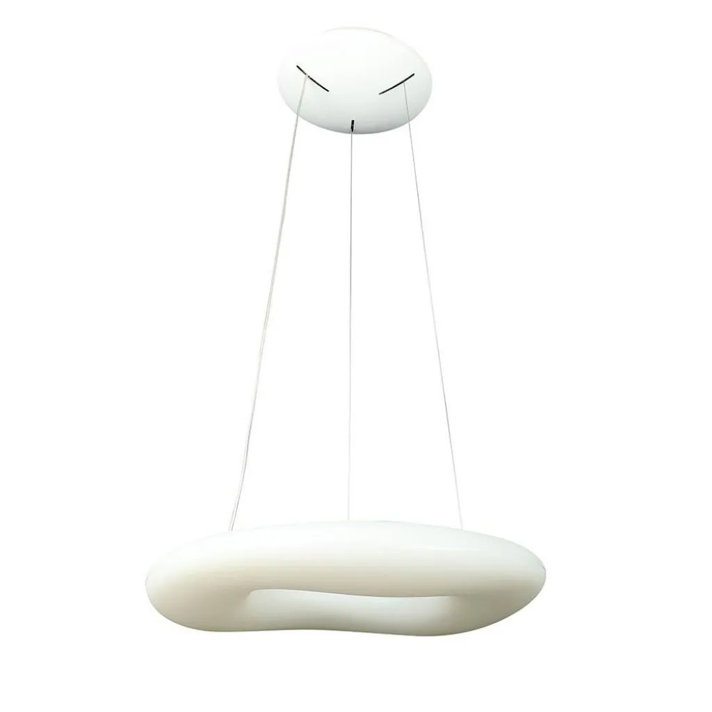 Lampadario LED a Sospensione Circolare 82W con Telecomando CCT 3in1 Colore Bianco 75x120cm Dimmerabile, vista generale