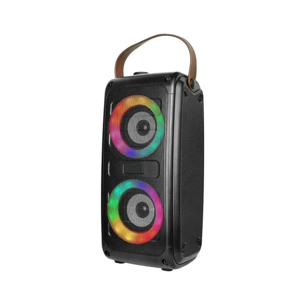 Altoparlante Ricaricabile 2x10W con USB e Scheda TF RGB 2x3Pollici, vista angolata frontale